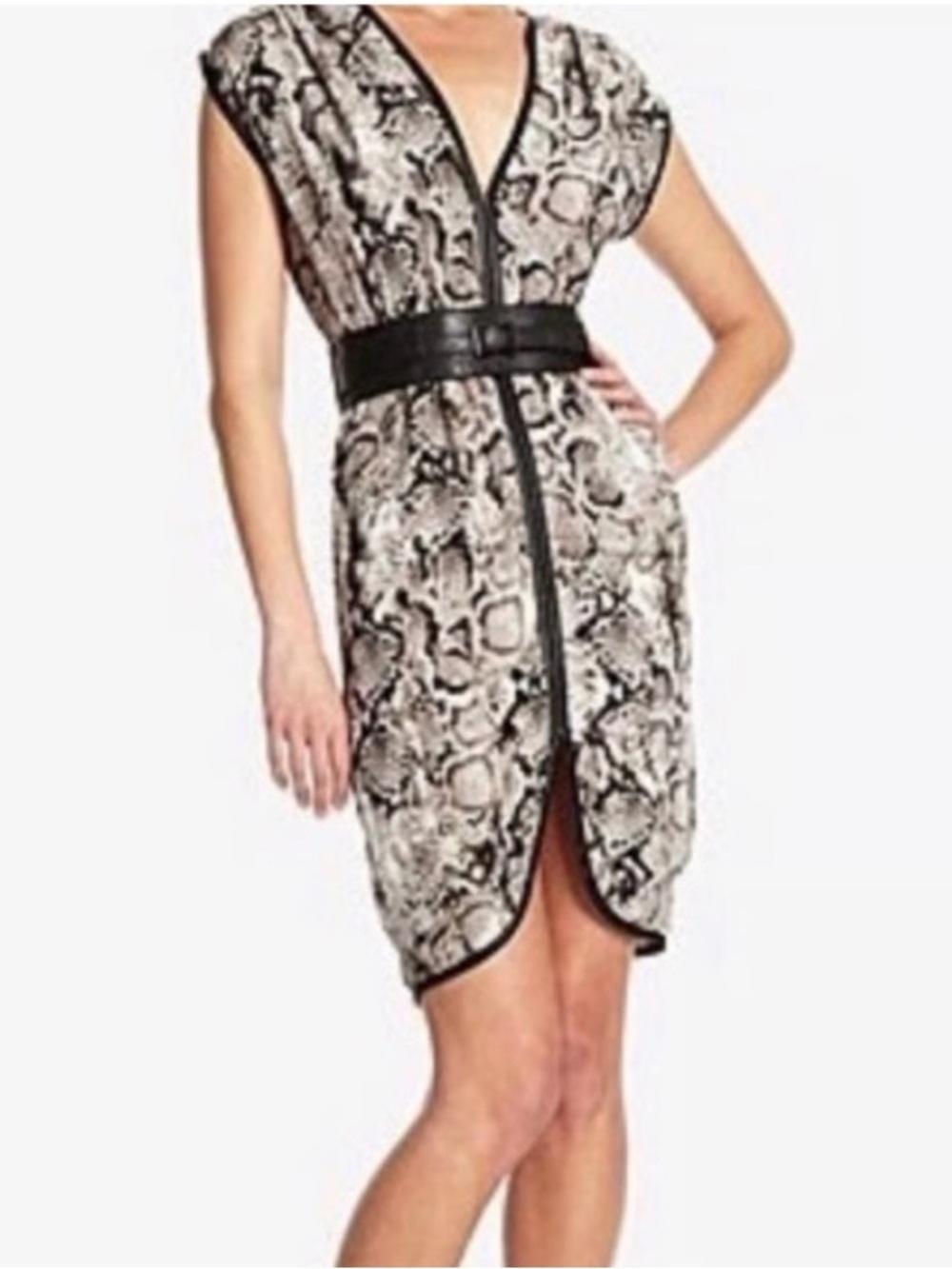 BCBG MaxAzria Eris Snake Print Silk Belted Dress, Small